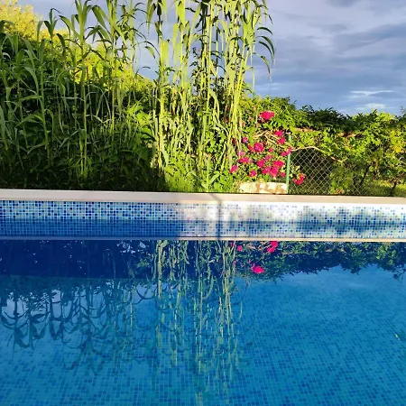 Villa House With Pool Ocinjak