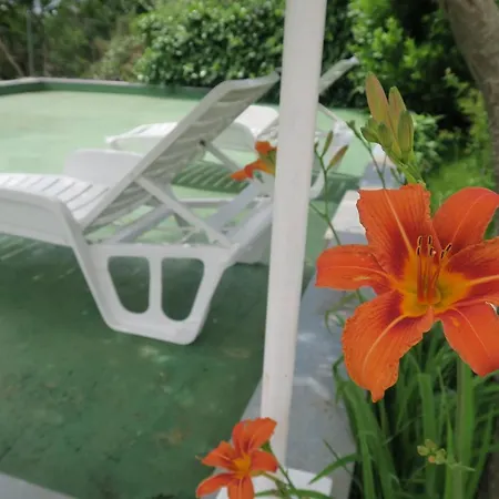 Villa House With Pool Ocinjak