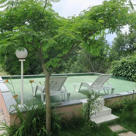 Villa House With Pool Ocinjak