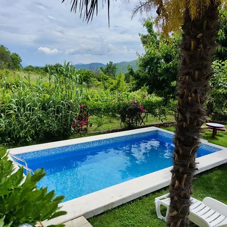 House With Pool